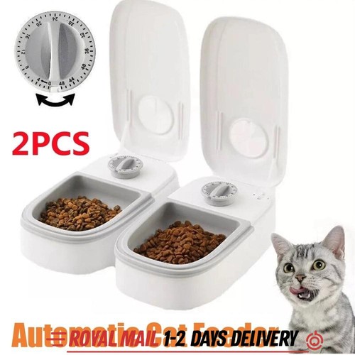 Automatic cat feeder - cat,