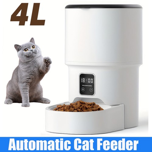 Pet cat feeder automatic - cat,
