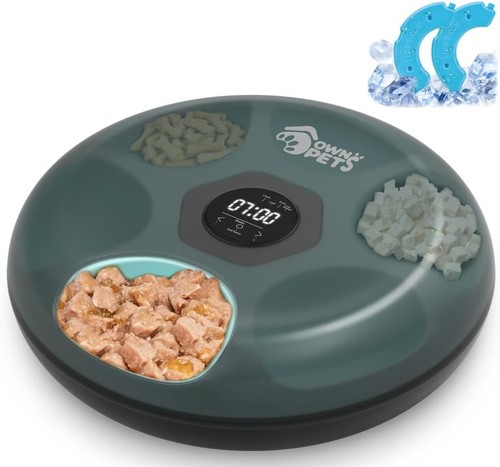 Automatic cat feeder - cat,