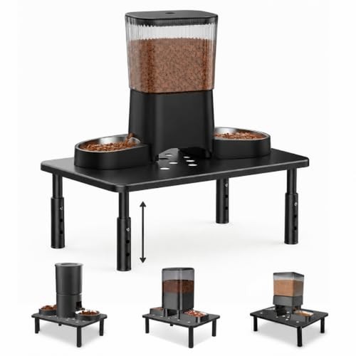 Raised automatic cat feeder - raised,