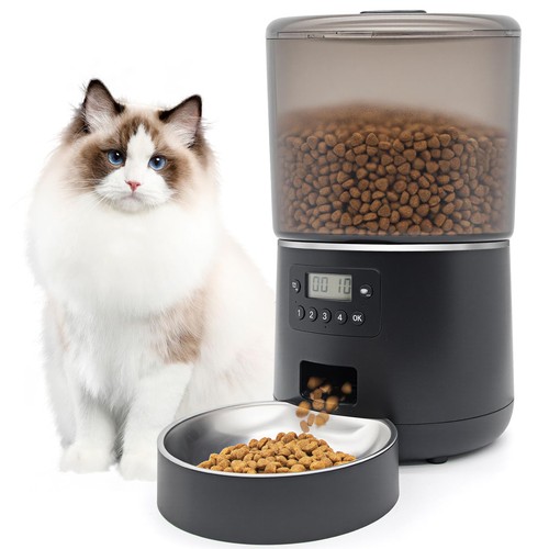 Automatic cat feeder - cat,
