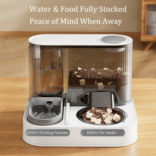 Automatic cat feeder - automatic,