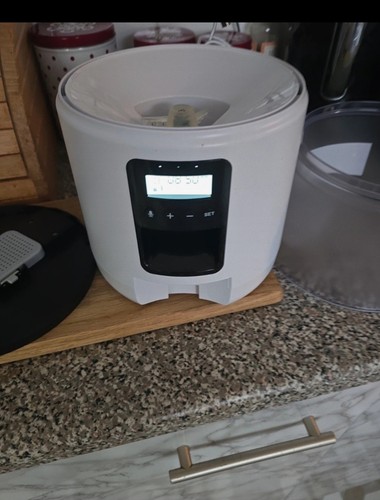 Automatic cat feeder - automatic,