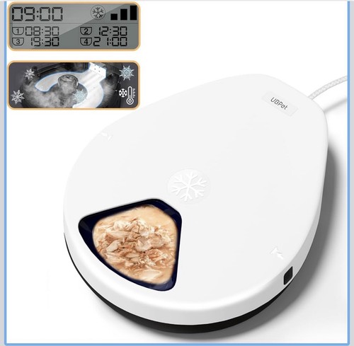 Automatic cat feeder with - cat,
