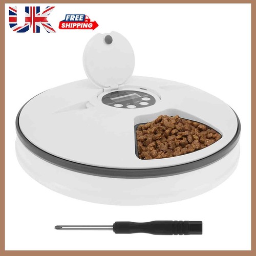 Automatic cat feeder - cat, wet