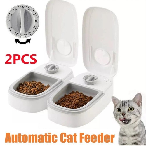 Automatic cat feeder - cat,