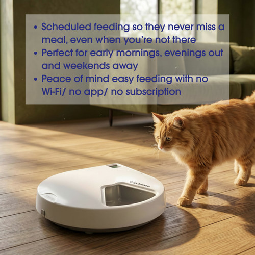 Cat mate automatic - cat, pet