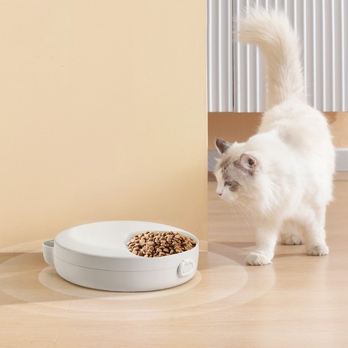 Smart automatic pet feeder - automatic, cat